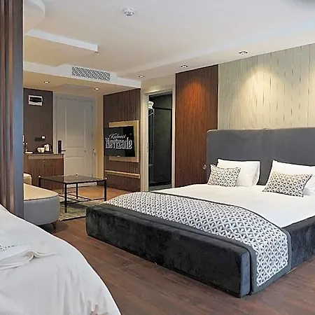 Hotel Nevizade Avangart 3*